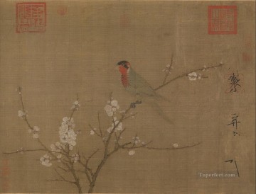 Zhao Ji Song Huizong Painting - five colored parakeet on a blossoming apricot tree 1119 old China ink